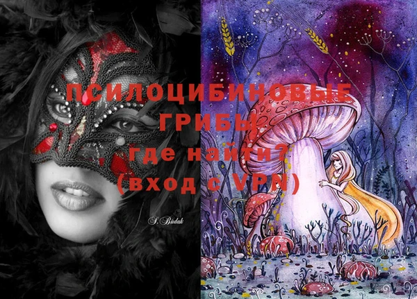 PSILOCYBIN Сатка
