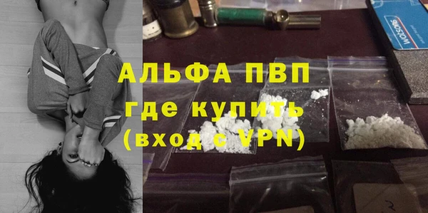 PSILOCYBIN Сатка