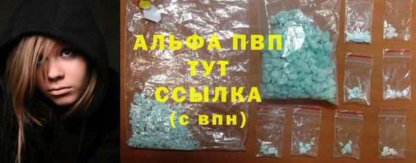 PSILOCYBIN Сатка